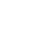 Digital Platforms Development